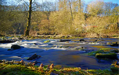 Camping Berkel