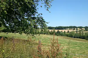 Camping Berkel Camping/B&B Berkel - Blick auf die Felder in der Umgebung des Campingplatzes