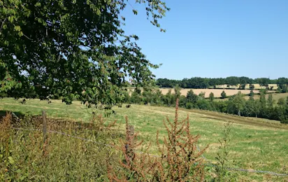 Camping Berkel