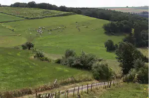 Camping Berkel Camping/B&B Berkel - Wanderwege in der Umgebung des Campingplatzes