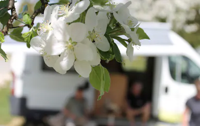 Campinggarten Wahlwies