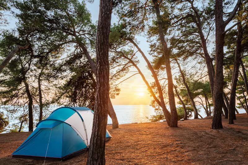 Camping Savudrija - Zeltplatz im Schatten der Bäume mit dem Blick auf Sonnenuntergang am Meer