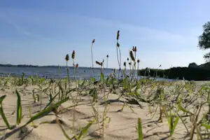Campingparadies Dahmen - Malchiner See Strand
