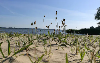 Campingparadies Dahmen