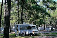 Campingpark am Weißen See  -  Wohnwagen und Wohnmobile auf dem Stellplatz vom Campingplatz im Schatten von Bäumen