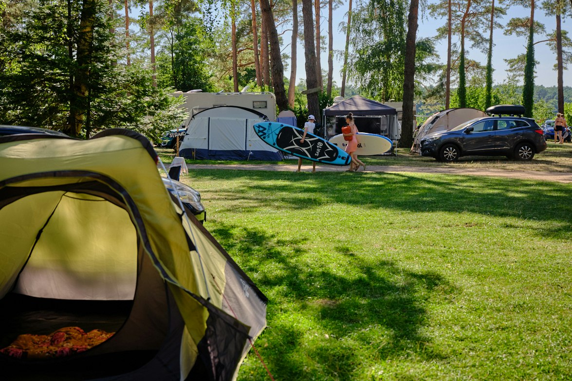 Campingzelt im Vordergrund, daneben Wohnwagen und weitere Zelte auf einem Rasenplatz im Wald, Autos am Stellplatz.