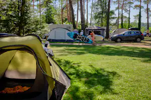 Campingzelt im Vordergrund, daneben Wohnwagen und weitere Zelte auf einem Rasenplatz im Wald, Autos am Stellplatz.
