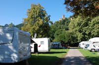 Campingpark Bad Liebenzell - Stellplätze im Grünen mit Blick auf die Burg Liebenzell