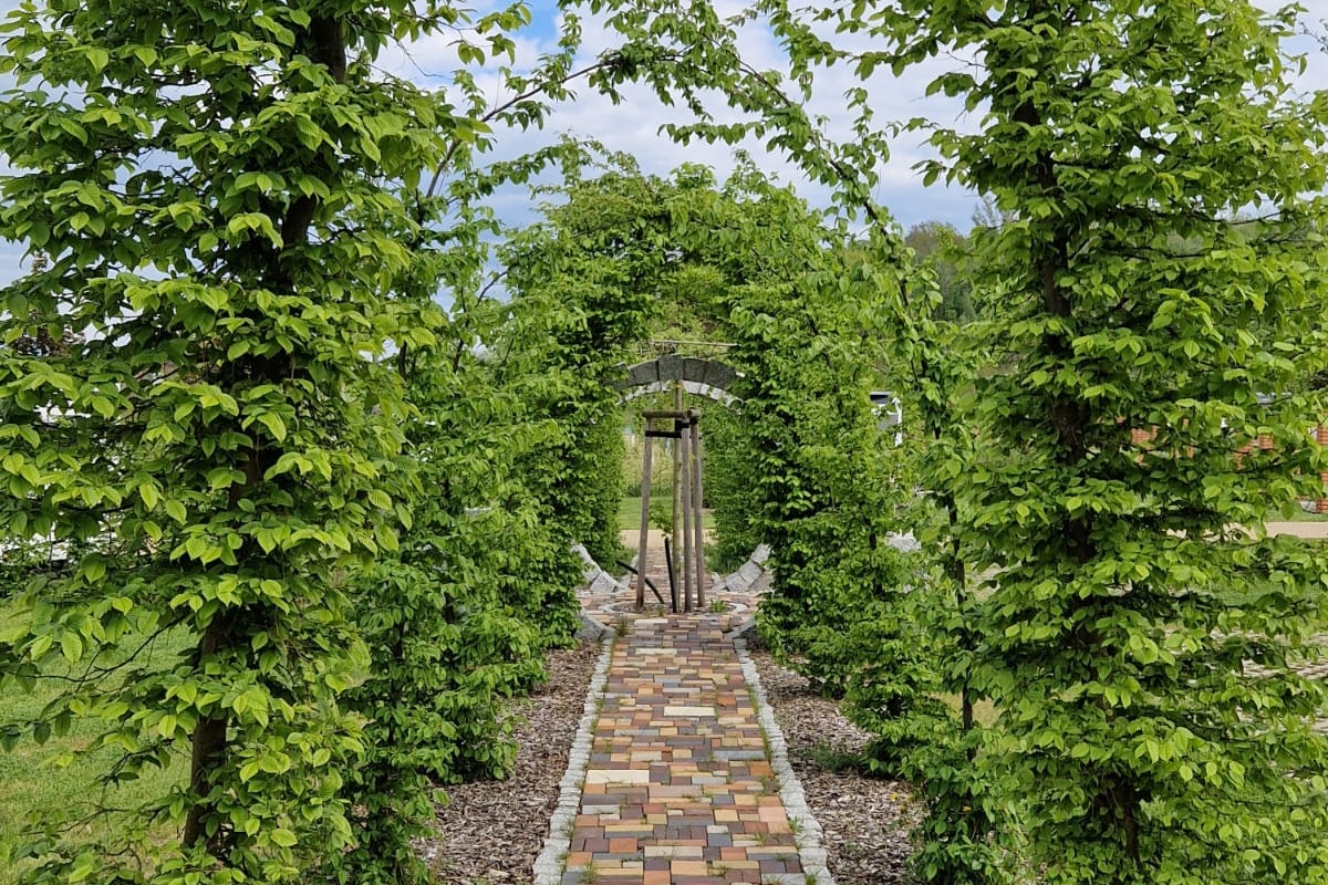 Campingpark Berzdorfer See GmbH - Bepflanzung auf dem Campingplatz