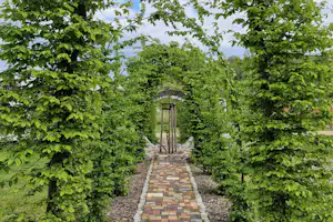 Steinweg durch dichtes Grün mit gemauertem Brunnen und Holzgestell, umgeben von Hecken und Bäumen.