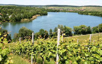 Campingpark Breitenauer See