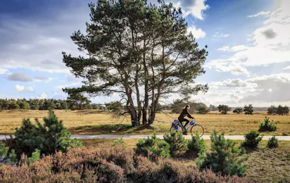 Campingpark de Vuurkuil