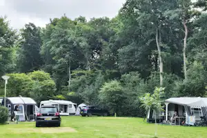 Campingplatz mit Wohnwagen und Zelten auf einer Rasenfläche, Bäume im Hintergrund und ein Auto auf dem Stellplatz.
