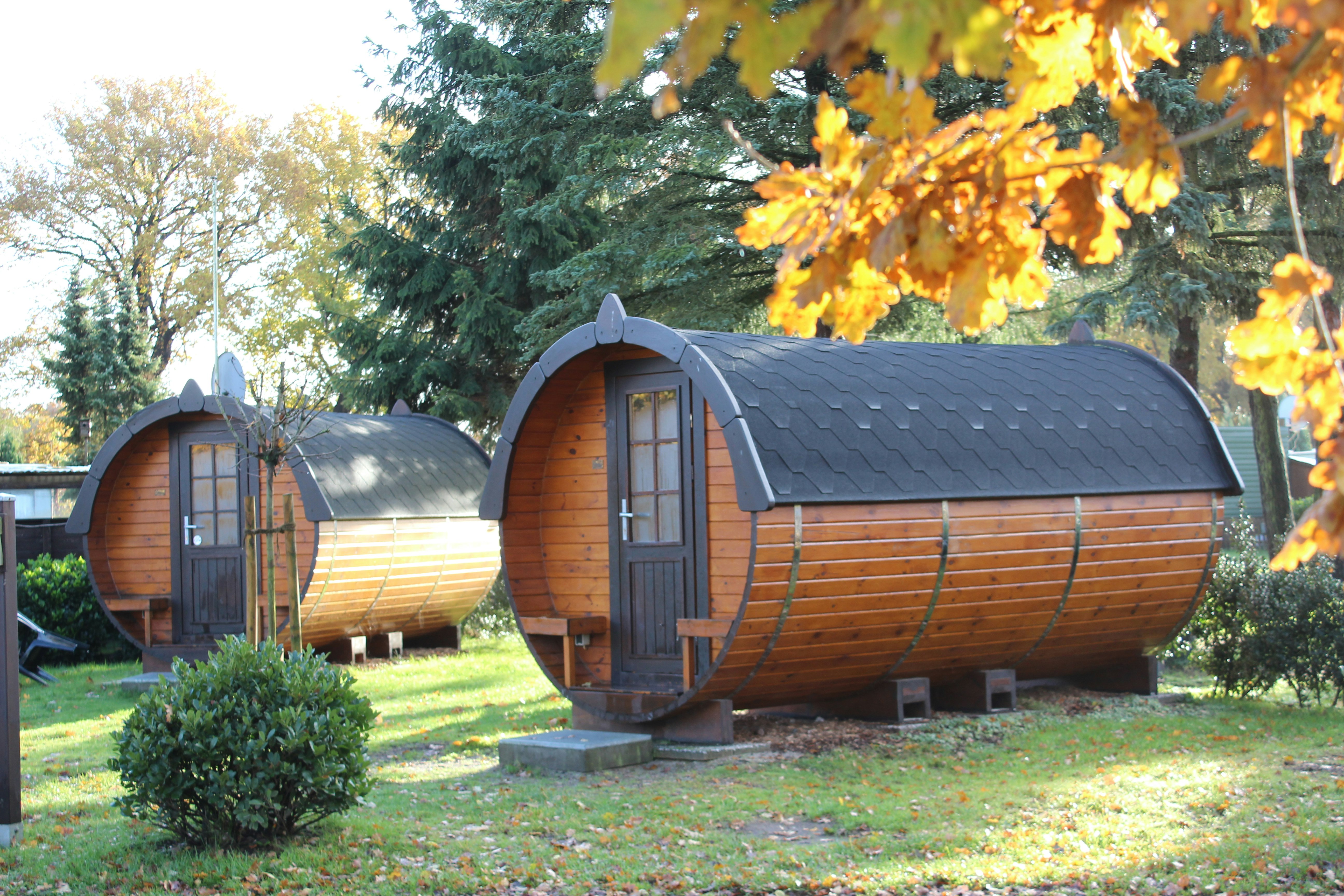 Camping & Ferienpark Falkensteinsee  Campingpark Falkensteinsee - Miet-Schlaffässer umgeben von Bäumen