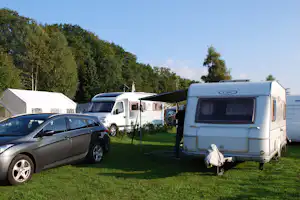 Camping & Ferienpark Falkensteinsee Campingpark Falkensteinsee - Standplätze auf grüner Wiese