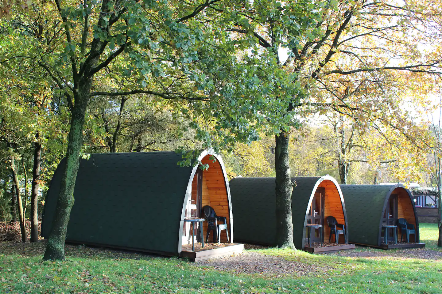 Campingpark Falkensteinsee - Drei Holzhütten unter Bäumen auf Wiese