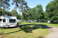Campingpark Gartow - Strasse des Campingplatzes mit Stellplätzen an beiden Seiten