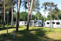 Campingpark Gartow - Wohnwagen auf dem Campingplatz umringt von Bäumen