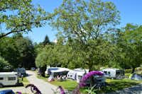 Campingpark Gitzenweiler Hof - Stellplätze im Schatten unter Bäumen auf dem Campingplatz