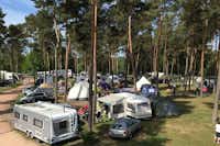 Campingpark Haddorfer Seen  -  Wohnwagen- und Zeltstellplatz vom Campingplatz zwischen Bäumen