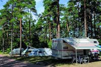Campingpark Havelberge  -  Wohnwagenstellplatz auf dem Campingplatz zwischen Bäumen