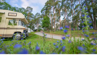 Havelberge Camping Resort