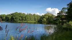 Campingpark Hofgut Schönerlen