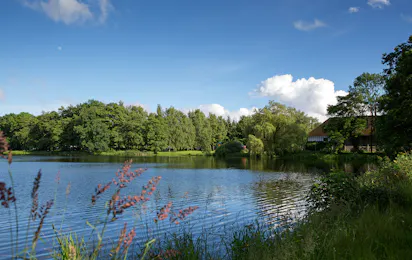 Campingpark Hofgut Schönerlen