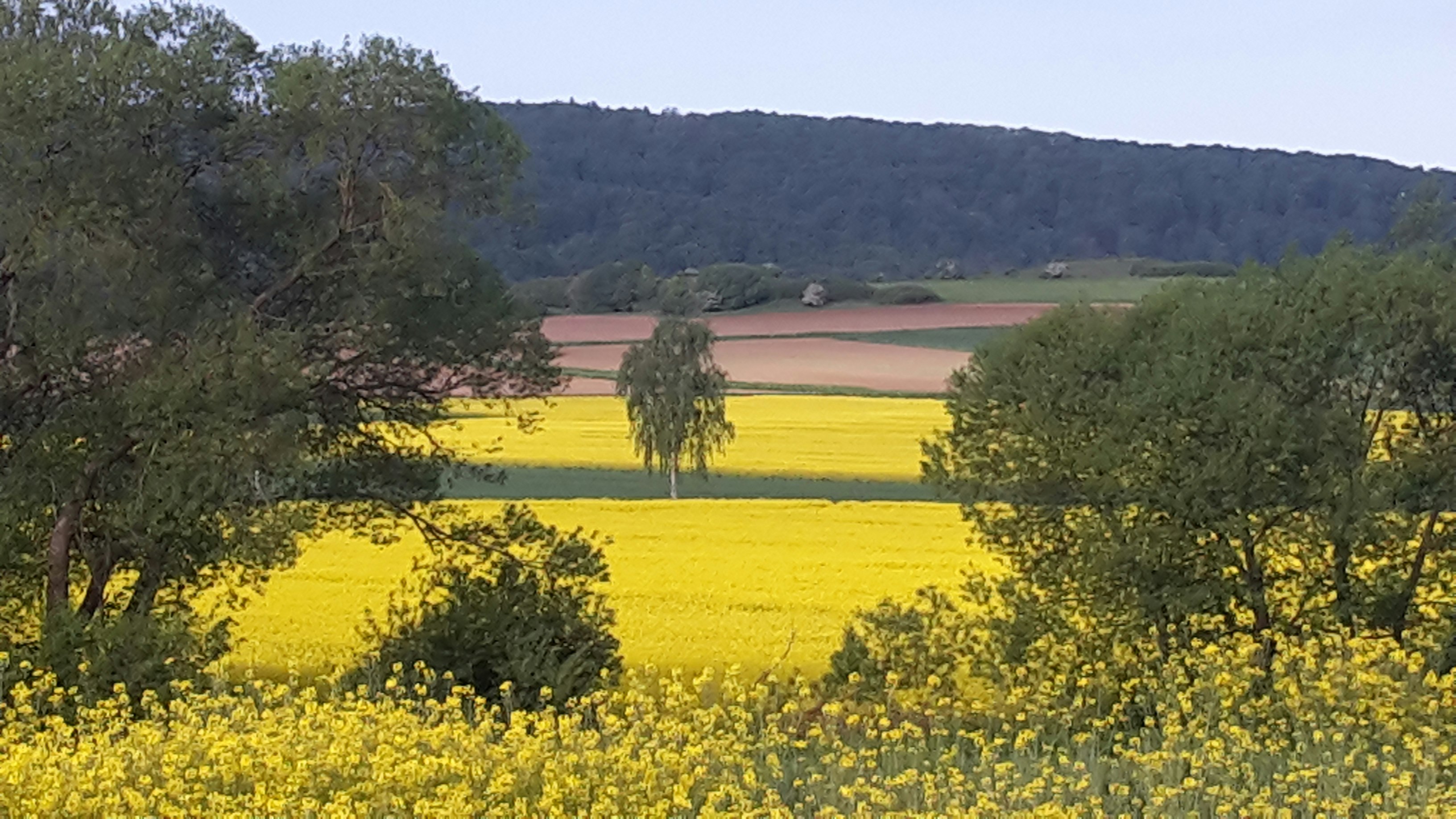 Campingpark Humboldtsee