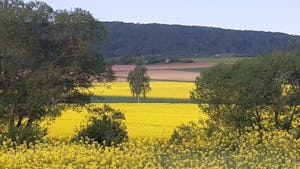 Campingpark Humboldtsee