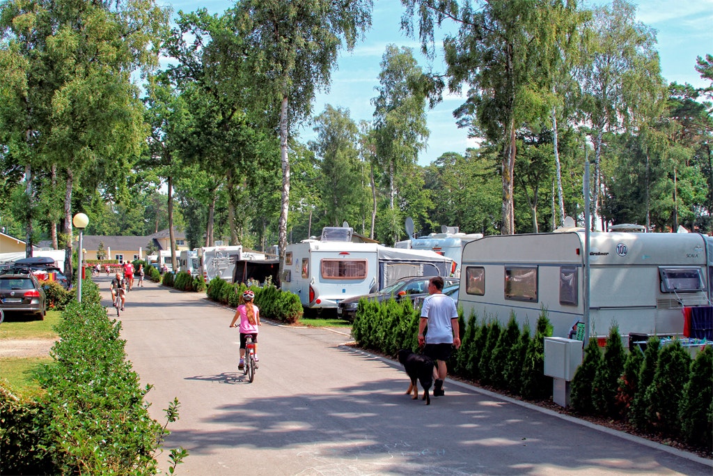 Campingpark Kühlungsborn  -  Camper mit Fahrrädern auf dem Gehweg entlang der Stellplätze