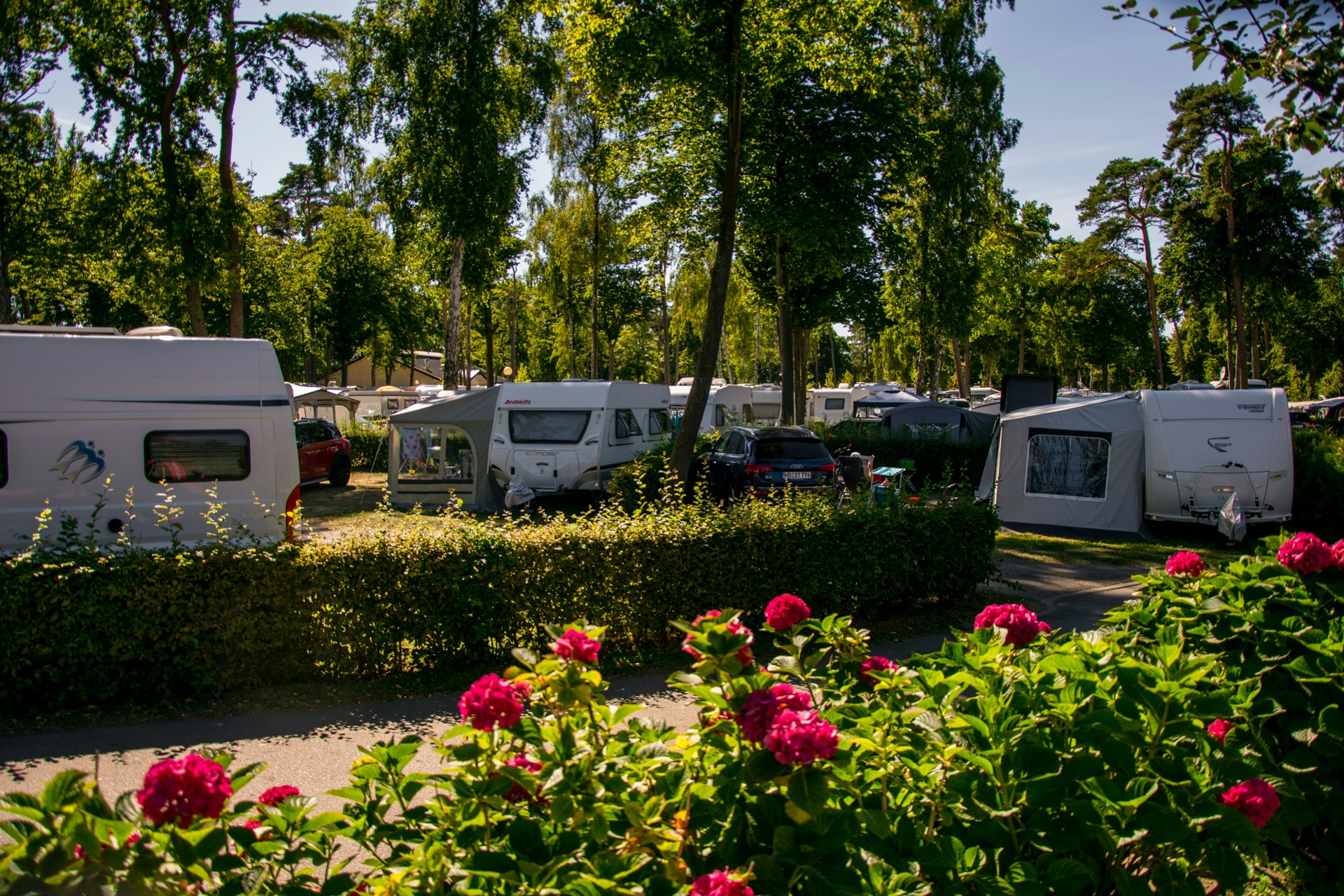 Campingpark Kühlungsborn  -  Wohnwagenstellplatz und Wohnmobilstellplatz vom Campingplatz im Grünen zwischen Bäumen