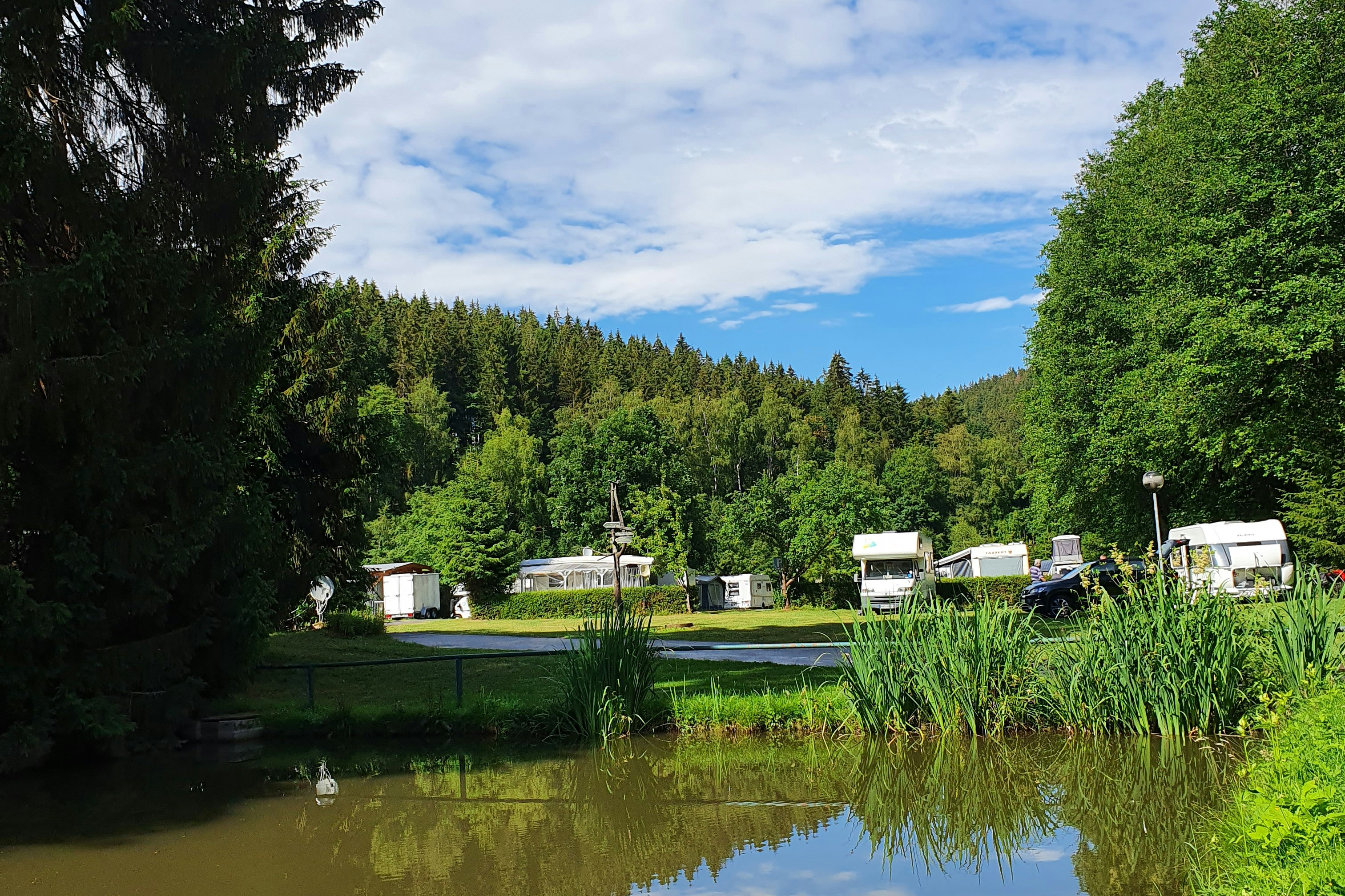 Ruhiger Teich am Campingplatz mit Wohnwagen und Bäumen im Hintergrund, umgeben von grünem Gras und Uferpflanzen.