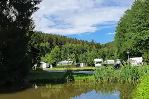 Ruhiger Teich am Campingplatz mit Wohnwagen und Bäumen im Hintergrund, umgeben von grünem Gras und Uferpflanzen.