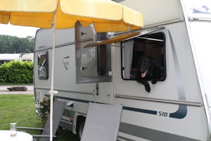 Campingpark Münsterland Eichenhof - Hundefreundliche Wohnwagenstellplätze auf dem Campingplatz