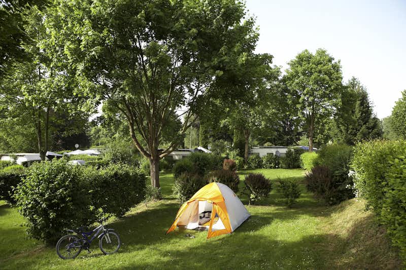 Campingpark Oase - Zeltplatz im Schatten unter Bäumen auf dem Campingplatz