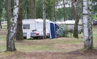 Campingpark Oderhaff