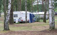 Campingpark Oderhaff