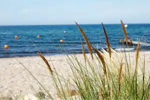 Campingpark Ostseestrand - Strand an der Ostsee in der Nähe vom Campingplatz