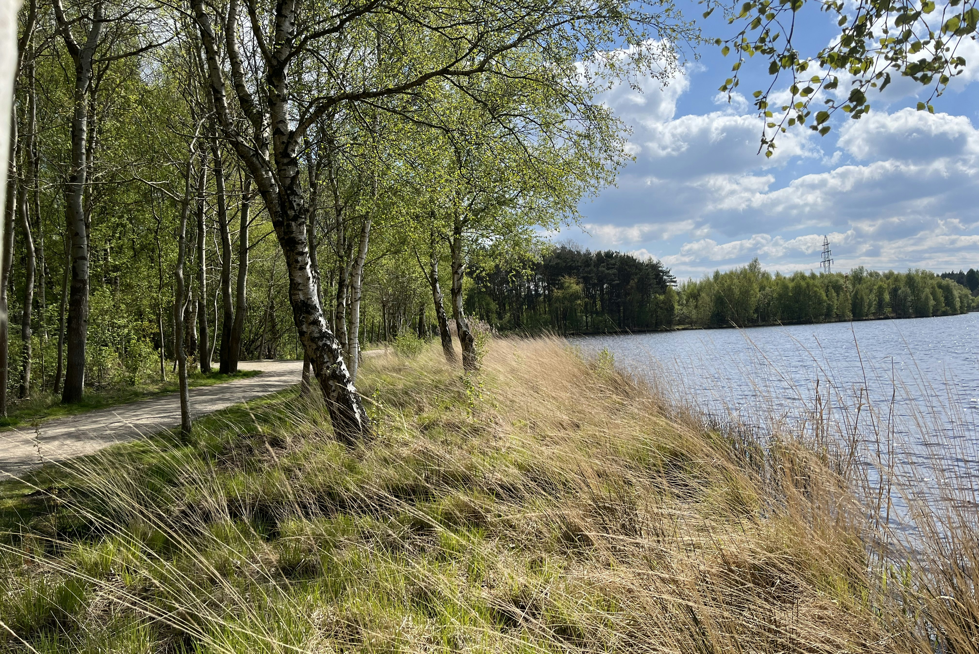 Campingpark Ottermeer - Blick auf einen Spazierweg am Wasser entlang