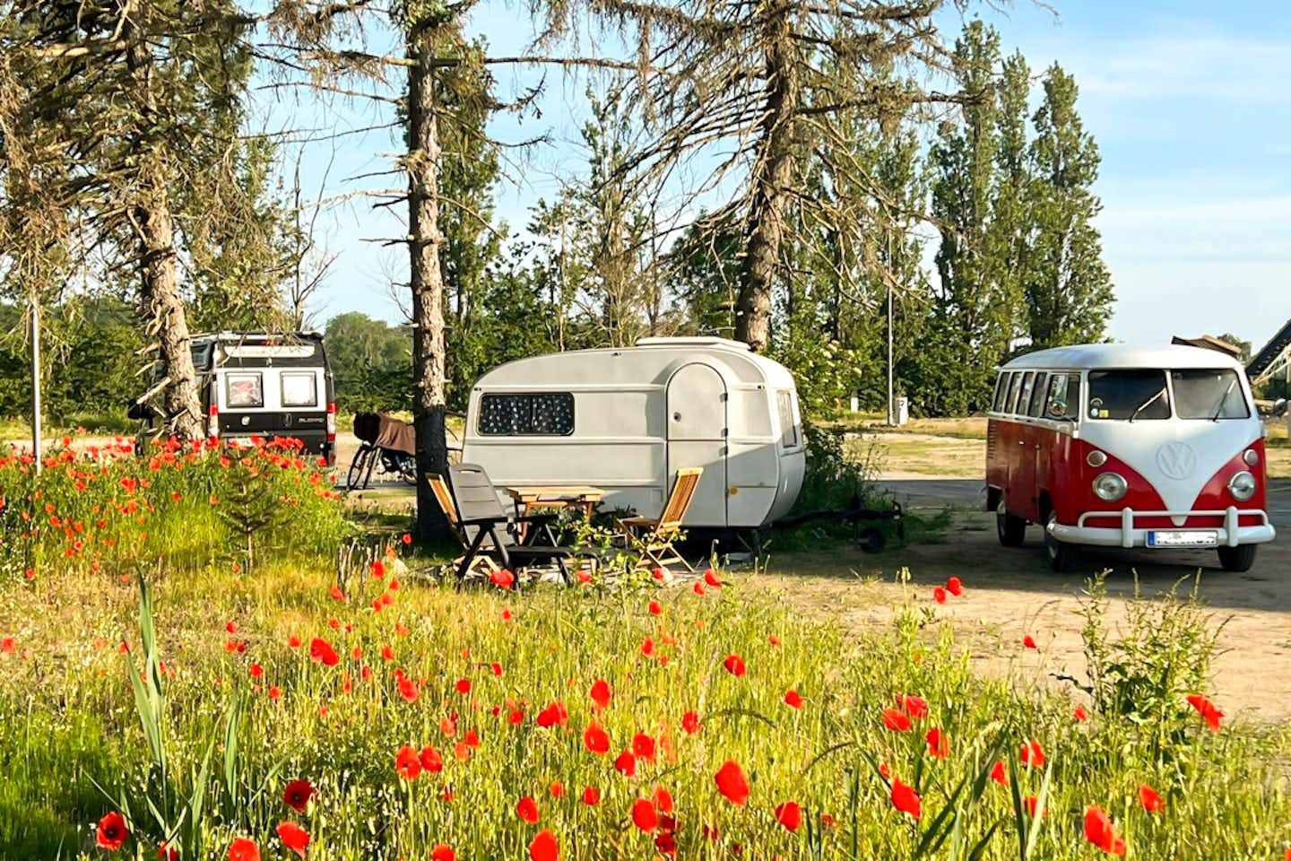Campingpark Prohner Wiek - Standplätze auf dem Campingplatz