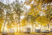 Campingpark Sanssouci - Stellplätze mit Bäumen am Wasser