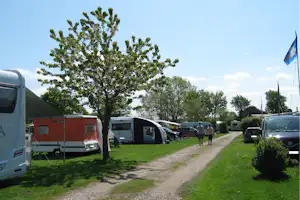 Campingpark Schlei-Karschau - Stellplätze im Schatten unter Bäumen an der Schlei auf dem Campingplatz