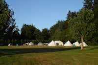 Campingpark Waldwiesen -  Zeltplatz mit Bäumen