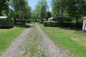 Campingpark Waldwiesen - Zelt- und Wohnwagenstellplatz umringt von Wald auf dem Campingplatz