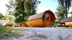 Campingpark Wertheim Bettingen