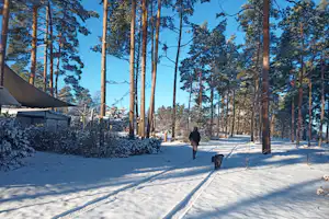 Campingpark & Wohnmobilhafen am Großen Lausiger Teich - Winterimpression