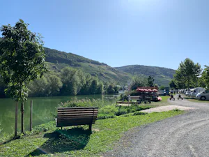 Campingpark Zell Mosel - Moselufer.jpg