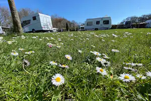 ZIMDARS CampingResort Campingplatz Achtern Huus - Standplätze auf der Wiese auf dem Campingplatz