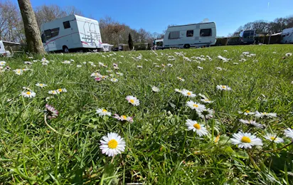 ZIMDARS CampingResort